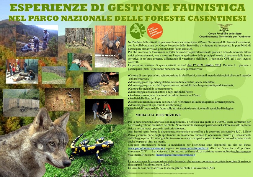 Esperienze di gestione faunistica nel Parco delle Foreste Casentinesi