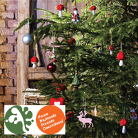Il Parco Nazionale delle Foreste Casentinesi assieme a IKEA Italia per un Natale più sostenibile