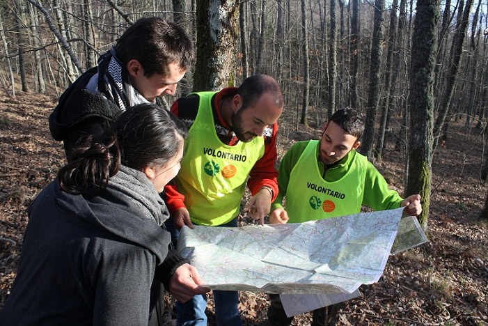 Volontariato nelle Foreste Casentinesi: idee per il 2013