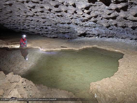 Riprendono le visite speleologiche alla Grotta della Spipola 