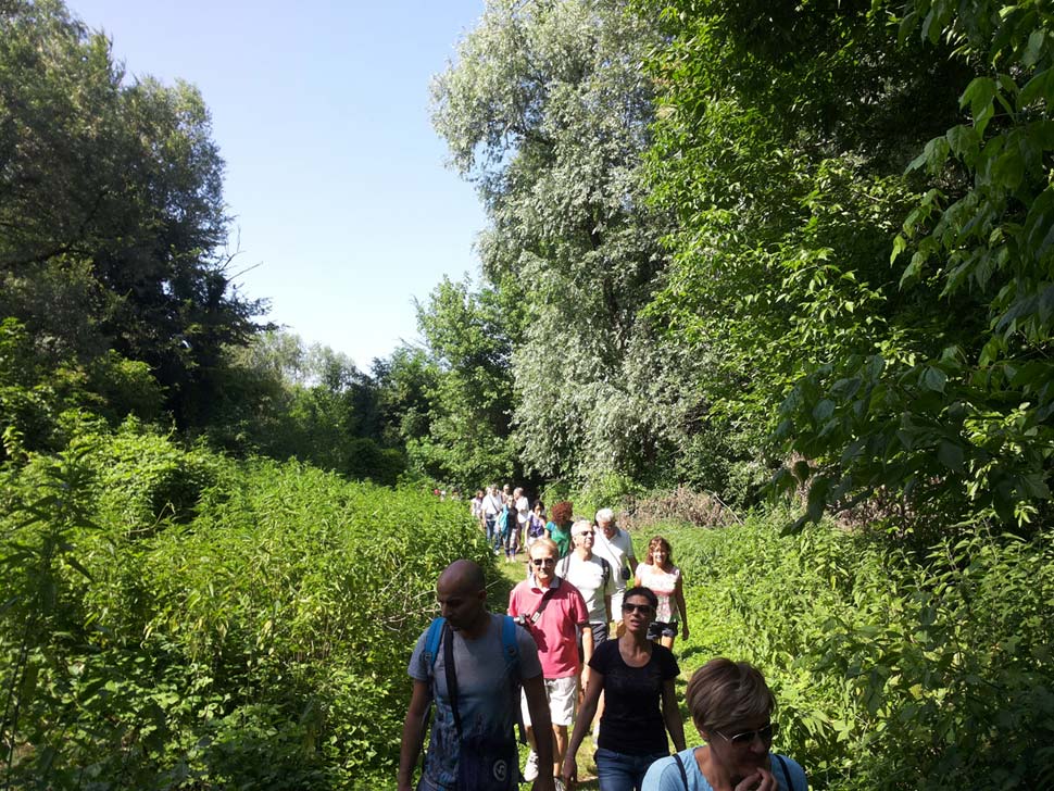 Un'escursione nella natura intorno ai laghi di Mantova