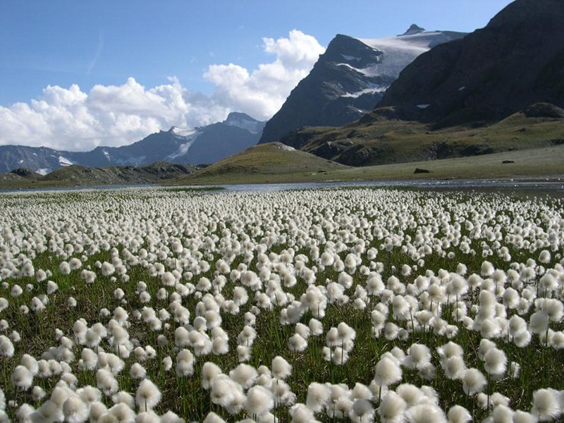 Il Parco Nazionale Gran Paradiso al 2° posto in Italia per qualità paesaggistica