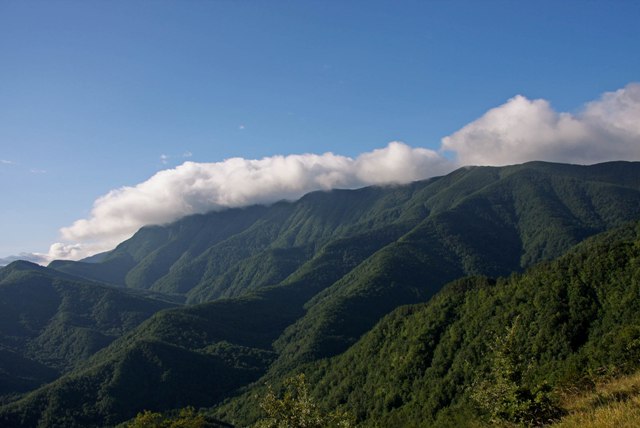 Tripadvisor premia il Parco Nazionale delle Foreste Casentinesi