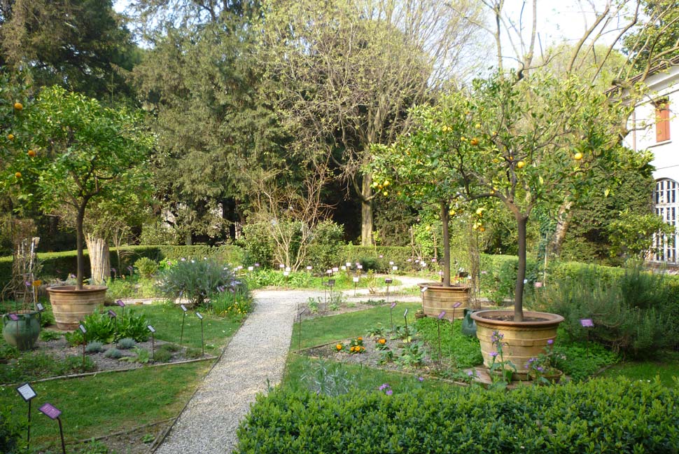 Il giardino di Palazzo D'Arco