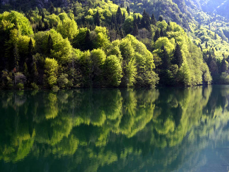 Giornata mondiale dell'acqua: le iniziative nel Parco Nazionale Dolomiti Bellunesi