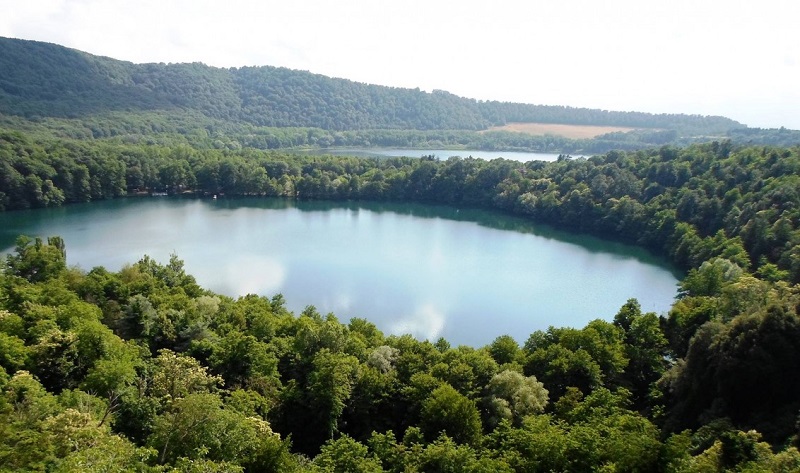 Tra la biodiversità delle terre delle acque minerali e dell'Aglianico serve un vero Parco del Vulture!