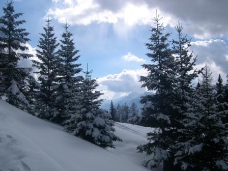 Paesaggio invernale nel Parco Naturale Adamello Brenta