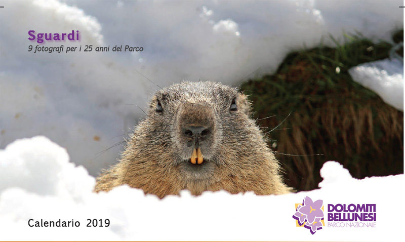 Sono arrivati i calendari 2019 del Parco Nazionale Dolomiti Bellunesi