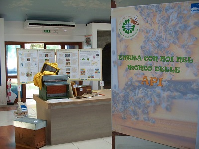 L'area del Museo dedicata alle api