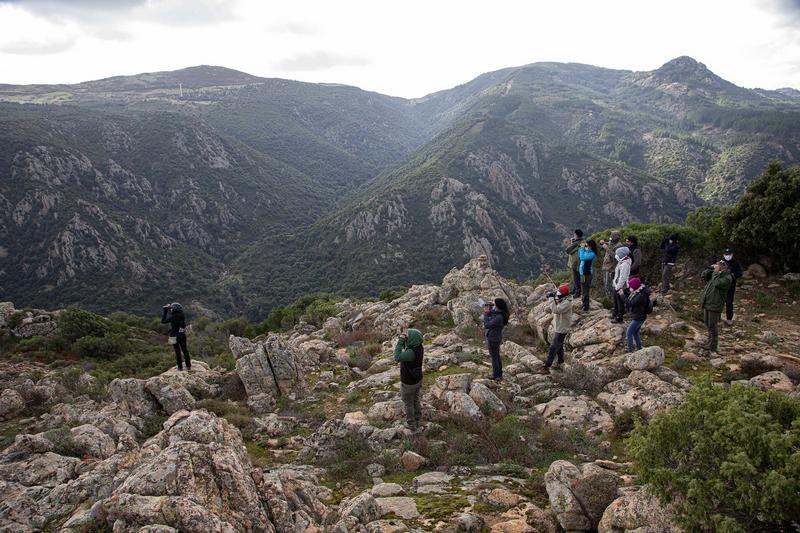 Concluso con successo il primo corso di formazione tenuto in Sardegna per 13 assistenti e accompagnatori di birdwatching