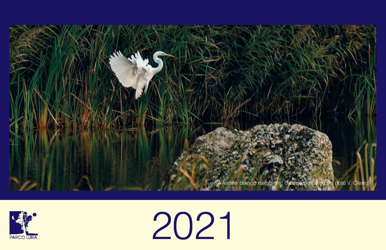 Copertina calendario 2021