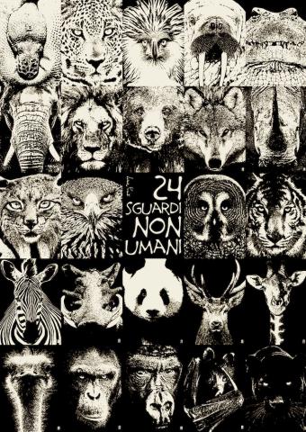 '24 sguardi non umani': la mostra di Lorenzo Possenti a Seravezza sul rispetto per la natura selvaggia