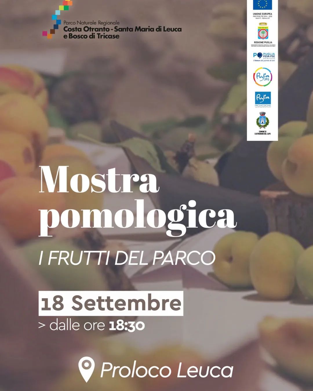 Frutti del Parco in festa: Mostra pomologica d'autunno domani a Santa Maria di Leuca
