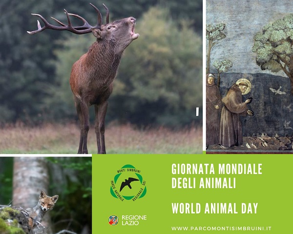 Giornata Mondiale degli Animali