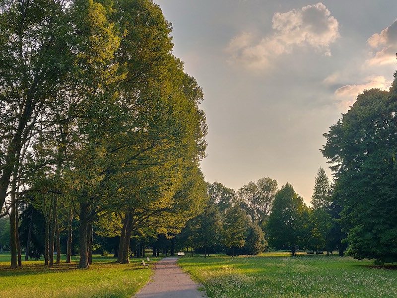 Finanziati tre progetti per migliorare la fruizione e gli ecosistemi di Parco Nord Milano