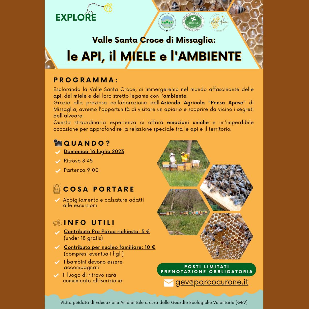 EXPLORE Valle Santa Croce di Missaglia: Le api, il miele e l'ambiente nel Parco di Montevecchia e Valle del Curone