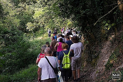 La camminata al Bosco Vetusto a Cantavenna, 12 agosto 2023 (Foto di Mattia Bodo)