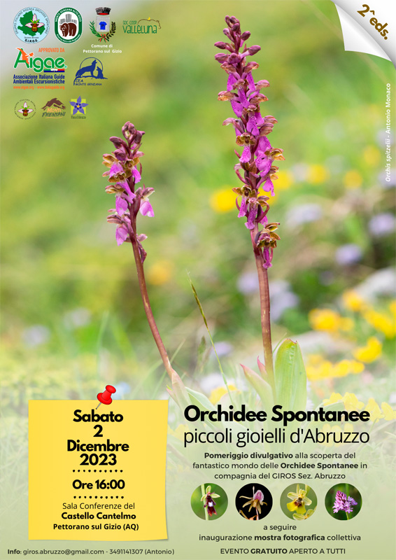 Orchidee Spontanee piccoli gioielli d’Abruzzo – 2° ed.