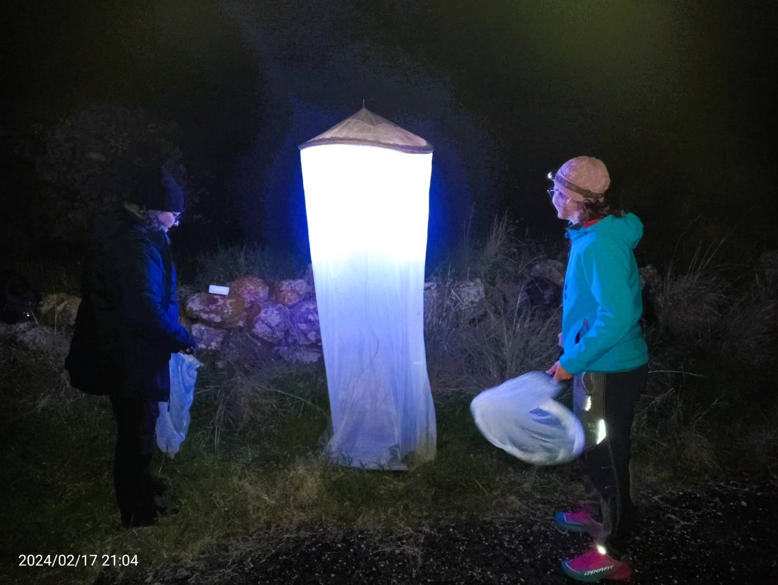Monitoraggi notturni nel lago di Pantelleria: alla ricerca di microfarfalle