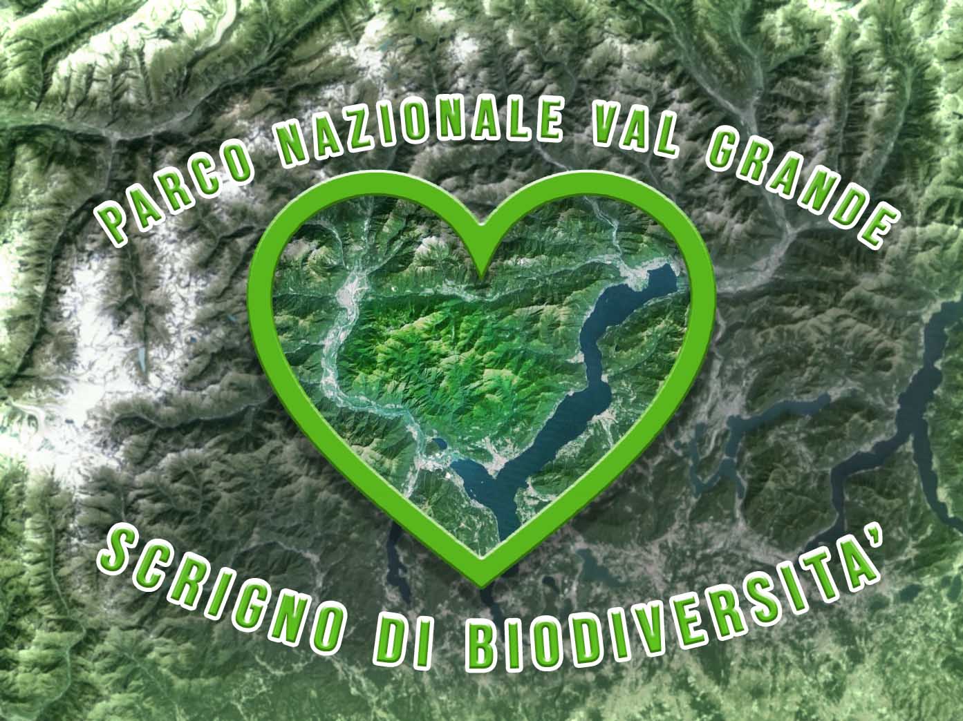 Oggi si celebra la Giornata mondiale della biodiversità