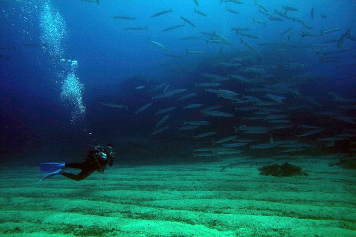 Centro Visite Area Marina Protetta Riserva Naturale Statale Isole di Ventotene e Santo Stefano. Orario Apertura Giugno