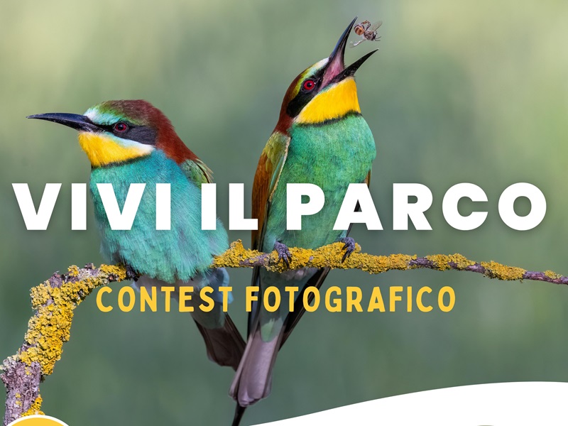 Fotografa il Parco: concorso, maratona e mostra a San Rossore