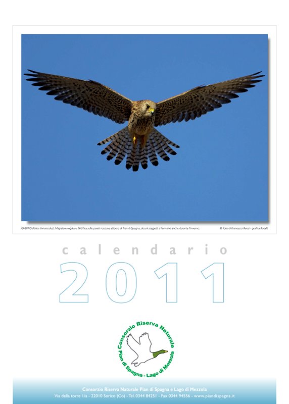 Calendario della riserva 2011