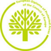 Il logo del diploma europeo