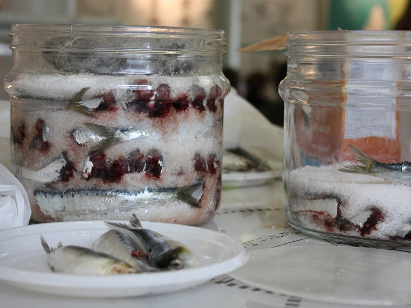 Laboratorio di Salatura delle sardine al Festival della Scienza
