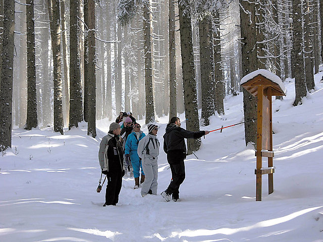 Il Parco d'inverno 2012