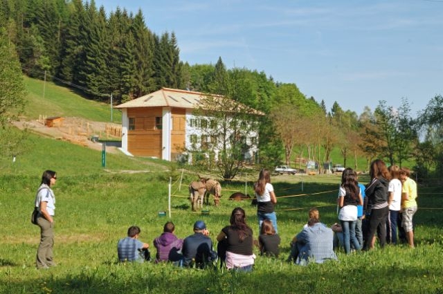 English Summer Camp nel Parco