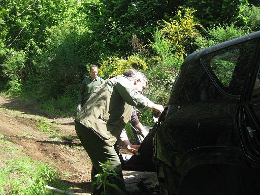Recuperate due carcasse di auto nei boschi