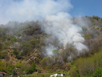 Un decalogo per la prevenzione degli incendi boschivi