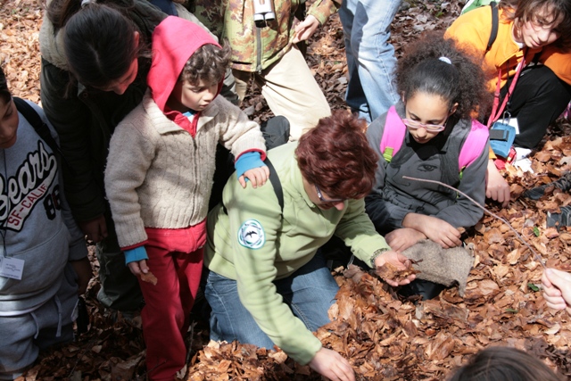 Il Parco a scuola: progetto di educazione ambientale 2012/2013