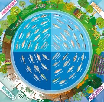 Intesa con la Fao per la pesca sostenibile e la biodiversità nel Mediterraneo