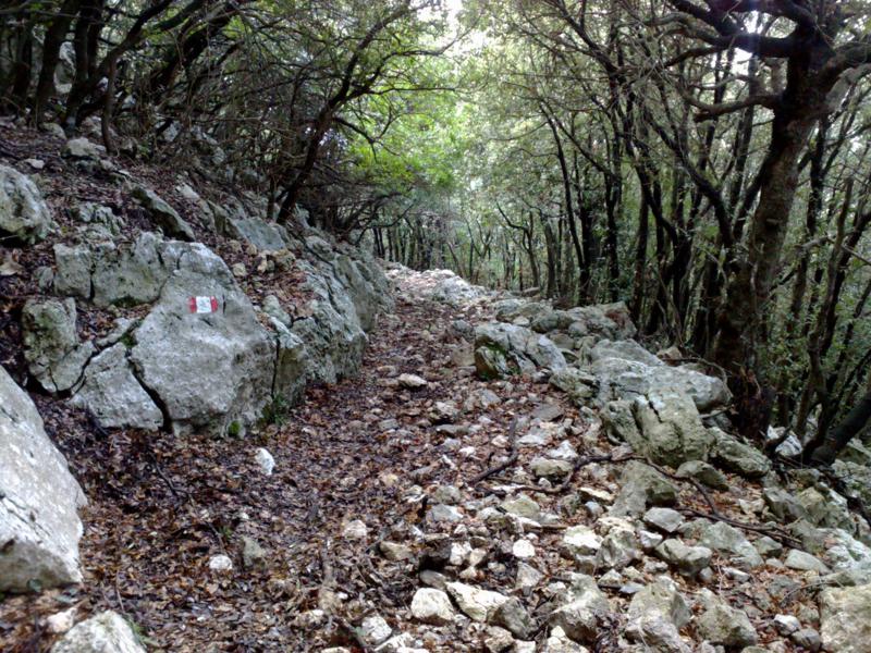 Passeggiate ed escursioni sui Monti Lucretili