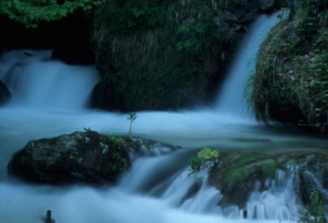 22 marzo, giornata mondiale dell'acqua: i Parchi nazionali in campo per la tutela di questo fondamentale bene comune