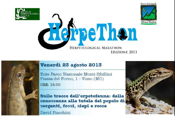HerpeThon 2013 arriva a Visso: serata divulgativa sui rettili e gli anfibi del Parco Nazionale dei Monti Sibillini
