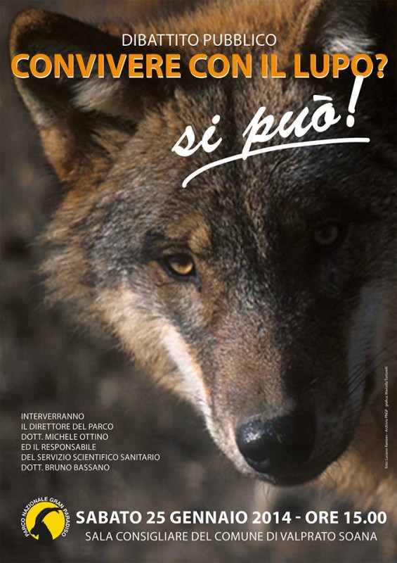 Conoscere e convivere con il lupo: in Val Soana incontro con popolazione e allevatori
