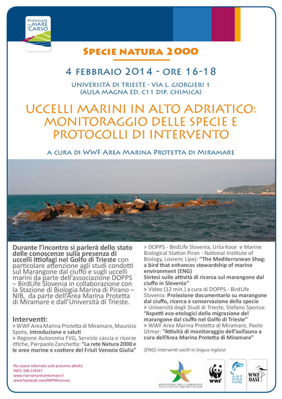 Uccelli marini dell'Alto Adriatico: monitoraggio delle specie e protocolli di intervento