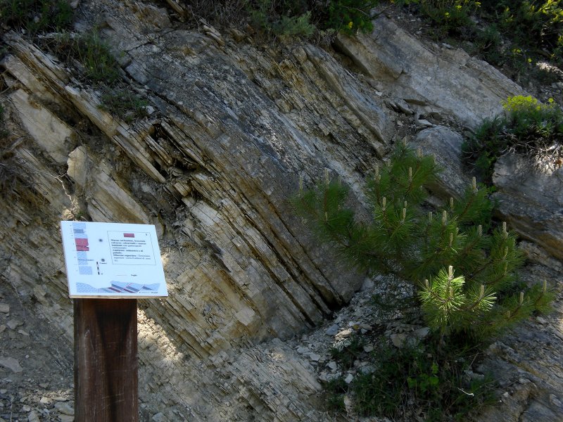 E. Liberatoscioli - Geosito Paleontologico di Capo di Fiume, Palena (CH)