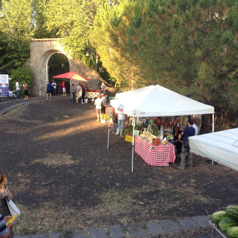 Al Parco dell'Etna conferenza e mostra mercato per il nuovo Bio-distretto etneo