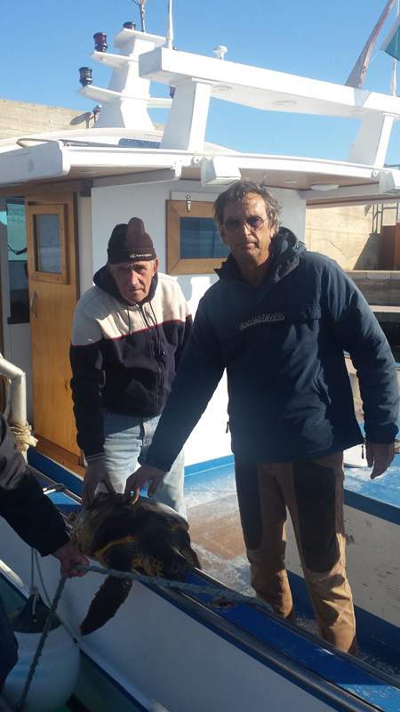 Recuperata da pescatori a Capo Colonna tartaruga Caretta caretta e consegnata per le cure al Centro di soccorso dell'AMP Capo Rizzuto