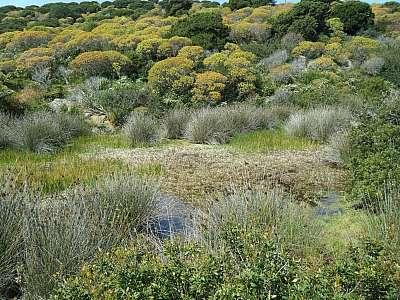 Il Parco e le zone umide del golfo dell'Asinara.