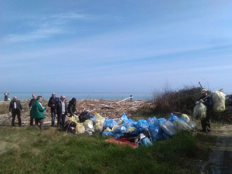 I volontari puliscono il litorale della Riserva