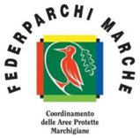 A San Benedetto del Tronto si riunisce FEDERPARCHI Marche