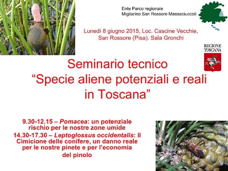 Lunedì 8 giugno, a San Rossore, un seminario sulle specie aliene in Toscana