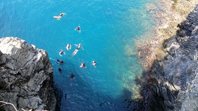 The Seawatching courses for adults start again in the Cinque Terre Marine Protected Area