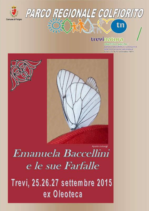 Emanuela Baccellini e le sue Farfalle
