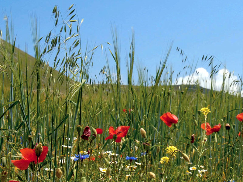 Parco Nazionale della Majella. Colori e tessuti popolari in Abruzzo
